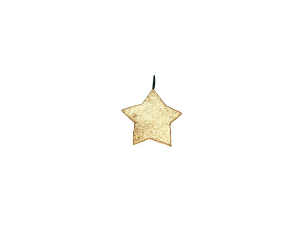 Mini-Metallanh&auml;nger Stern