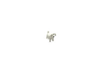 Mini-Hund