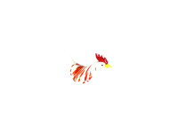 Huhn, wei&szlig;/rot