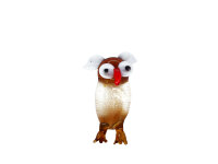 Eule