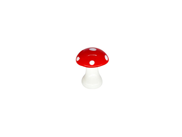 Fliegenpilz klein