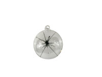 Kugel m. Stern &Oslash;8cm