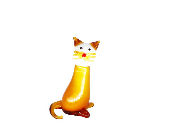 Katze