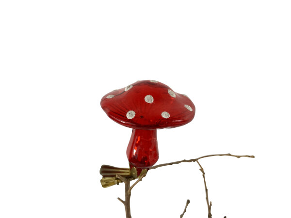 Pilz mit Klipp