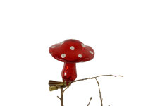 Pilz mit Klipp
