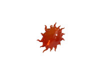 Sonne z.h&auml;ngen, orange